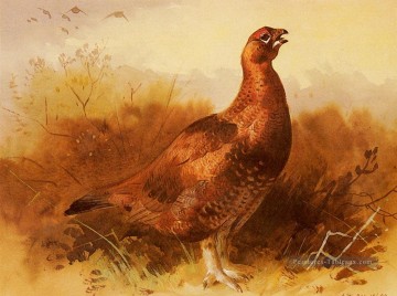 Coq Grouse Archibald Thorburn oiseau Peinture à l'huile